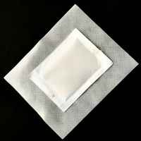 Bamboo Foot Detox Patches