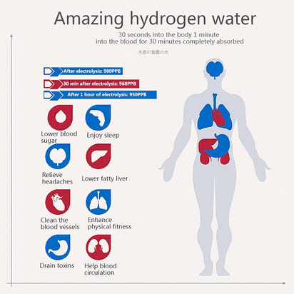 Hydrogen Generator Water Bottle