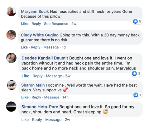 Dream Align Memory Foam Pillow