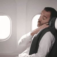 Butterfly Travel Neck Pillow