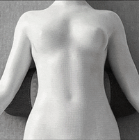 Ultimate Back Relief Pillow